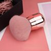 Brosse à poussière