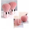 Brosse à poussière – Image 4